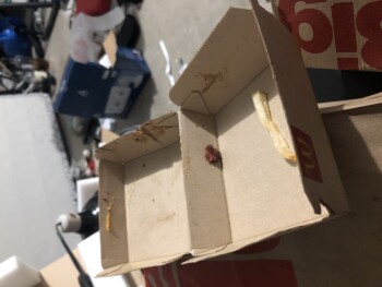 Consumer Review - Food Safety McDonald's, Silverado Ranch, Las Vegas, NV, USA Purchase quarter pounder and Big Mac. Big Mac was pe... photo #2