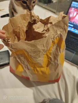 Consumer Review - Food Safety McDonald's Blackburn, Canterbury Road, Blackburn VIC, Australia I was there at 3:40am got sussage Mc... photo #3