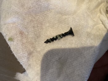 Consumer Food Safety Report Pho Ba Co, Barranca Parkway, Irvine, CA, USA Found an 1in screw in my Tri-colored boba! 
WTF!!!! photo #2