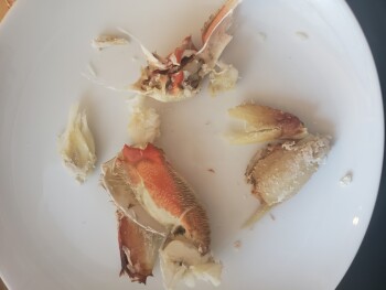 Verbraucherbewertung – Lebensmittelsicherheit Walmart Supercenter, Ramon Road, Palm Springs, CA, USA Sams choice brand 1.5 lb boxed snow crab and... Foto #2