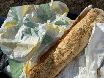 Consumer Review - Food Safety Subway, High Street, London, West Wickham, UK I went with my sister and ate in the park. After 30 mi... photo #1