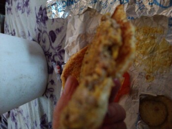 Consumer Review - Food Safety Sonic Drive-In, Dalrock Rd, Rowlett, TX, USA Today, Food from there Myself and both my daughters age... photo #1