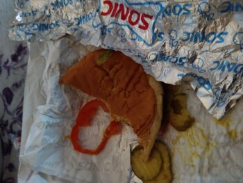 Consumer Review - Food Safety Sonic Drive-In, Dalrock Rd, Rowlett, TX, USA Today, Food from there Myself and both my daughters age... photo #2