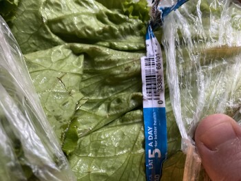 Consumer Review - Food Safety Costco Wholesale, Los Feliz Boulevard, Los Angeles, CA, USA Canned chickpeas or lettuce 2 people got... photo #4
