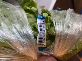 Consumer Review - Food Safety Costco Wholesale, Los Feliz Boulevard, Los Angeles, CA, USA Canned chickpeas or lettuce 2 people got... photo #5