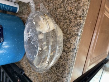 مراجعة المستهلك - سلامة الغذاء Poke Poku Hawaiin Poke Bar, South Rainbow Boulevard, Las Vegas, NV, USA About 8 hours after eating h... صورة فوتوغرافية #2