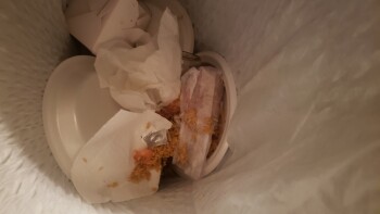 Consumer Review - Food Safety New Grace Chinese Restaurant, South Front Street, Steelton, PA, USA Food from there 2 people 2 hours... photo #4