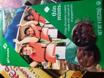 Consumer Review - Food Safety Girl Scouts of Ohio, Hubbard Road, Galloway, OH, USA Thin mints 2 got sick, about 5 hours before sym... photo #3