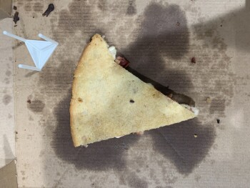 Consumer Review - Food Safety Keto Pizza, Tampa, FL, USA Over an hour ago from an ordered & delivered keto (Cauliflower chicken ba... photo #2