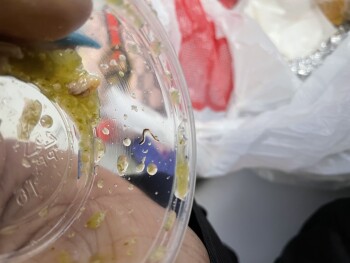 Consumer Review - Food Safety Una Mas Mexican Grill San Jose, North 1st Street, San Jose, CA, USA I was eating there yesterday for... photo #1