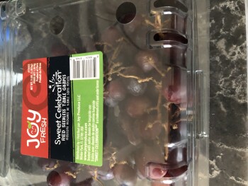 Consumer Review - Food Safety Sam's Club, Northwest Passage, Oklahoma City, OK, USA Me last night the 26.  2 got sick. My granddau... photo #2