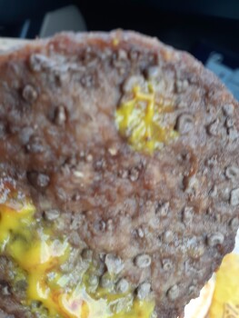 Consumer Review - Food Safety Burger King, U.S. 64, Marion, Arkansas, USA We were traveling and decided to stop here. 3/25/2021 It... photo #8