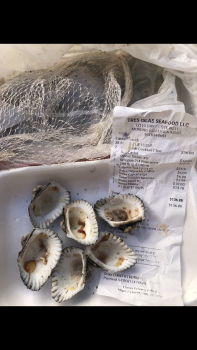 Consumer Review - Food Safety Tres Islas Seafood, Day Street, Moreno Valley, CA, USA Eating raw dozen blood clams  Me and my fianc... photo #3
