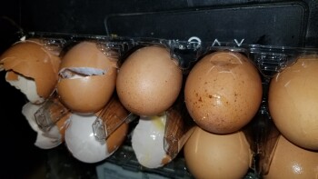 Consumer Review - Food Safety Eggs, Lidl, Ridge Pike, Trooper, PA, USA So I usually get Vital Farms eggs which I trust .. but I sa... photo #2
