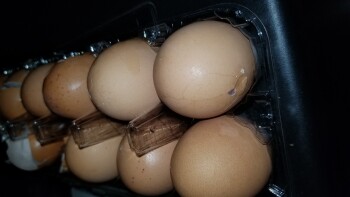 Consumer Review - Food Safety Eggs, Lidl, Ridge Pike, Trooper, PA, USA So I usually get Vital Farms eggs which I trust .. but I sa... photo #5