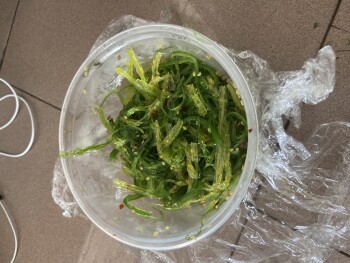 Consumer Review - Food Safety La Hacienda Meat Center, Calle Cuevillas, San Juan, Puerto Rico Seaweed salad  The nausea started a... photo #2