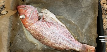 Consumer Review - Food Safety Whole Foods Market, Bergen Town Center, Paramus, NJ, USA red snapper fish I ordered red snapper fish... photo #2