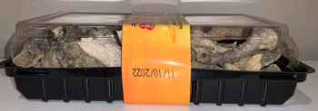Food Recall Ready-To-Eat Catfish Products - recalled due to ineligible country to export The FSIS announced the... photo #2