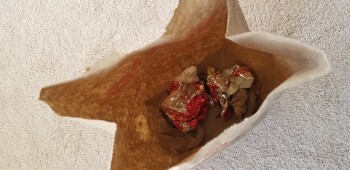 Consumer Review - Food Safety Wendy's, North Road 68, Pasco, WA, USA I ate there 4/24/21 approx 10pm, ordered Dave's single and si... photo #2