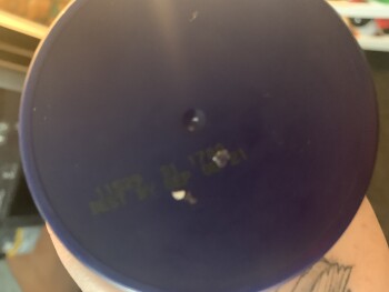 Consumer Review - Food Safety Walmart Supercentre, Island Highway, Campbell River, BC, Canada I had Caesar salad  I ate a salad wi... photo #3