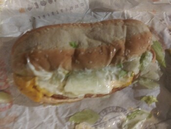 Consumer Review - Food Safety Burger King, South Congress Avenue, West Palm Beach, FL, USA To night 9:30 approx, Very blurry itchy... photo #4