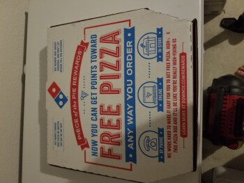 Consumer Review - Food Safety Domino's Pizza, Farm to Market Road 156, Justin, TX, USA Ordered a cheese pizza.  All members of my... photo #3