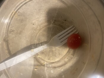 Consumer Review - Food Safety Zo Greek, Revolution Drive, Somerville, MA, USA Possibly a salad I ordered through uber eats  I orde... photo #3