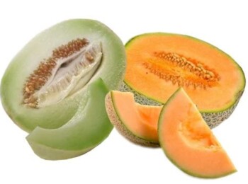 Ausbruch Multi-country European Salmonella outbreak linked to melons FSN informs about a large salmonella Bra... Foto #2