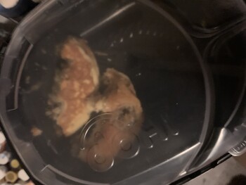 Reseña del consumidor - Seguridad alimentaria IHOP, Long Prairie Road, Flower Mound, TX, USA pancakes
we feel like we’re dying pls send refund foto #2
