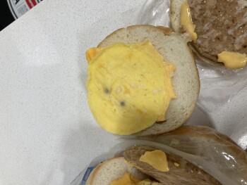 مراجعة المستهلك - سلامة الغذاء Jimmy Dean Croissant egg and sausage, Albuquerque, NM, USA I ate half of a breakfast sandwich, reali... صورة فوتوغرافية #3
