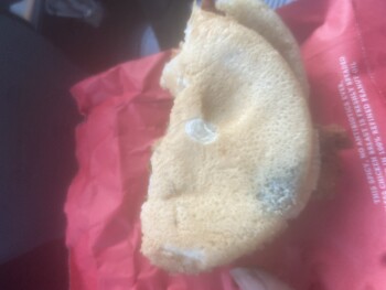 مراجعة المستهلك - سلامة الغذاء Chick-fil-A, Winston-Salem, NC, USA I at almost whole sand which with moldy bread صورة فوتوغرافية #2