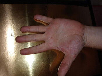 Consumer Food Safety Report Chipotle Mexican Grill, Main Street, Hamilton, OH, USA The restaurant does not follow industry stand... photo #2