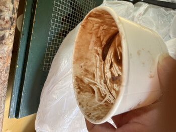 Consumer Review - Food Safety Nottinghams Restaurant, Big Bear Boulevard, Big Bear Lake, CA, USA Either dreyers espresso chip ice... photo #2