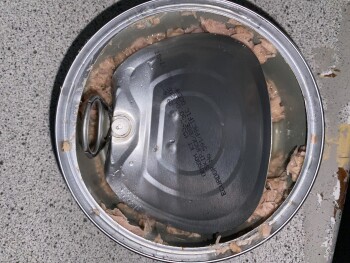 Avis du consommateur - Sécurité alimentaire Princes Tuna Chunks in Brine, Colindale, Edgware, UK She made a tuna sandwich at 12 She made her sel... photo #2