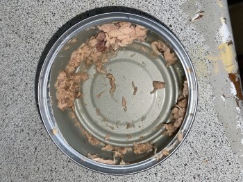Avis du consommateur - Sécurité alimentaire Princes Tuna Chunks in Brine, Colindale, Edgware, UK She made a tuna sandwich at 12 She made her sel... photo #3