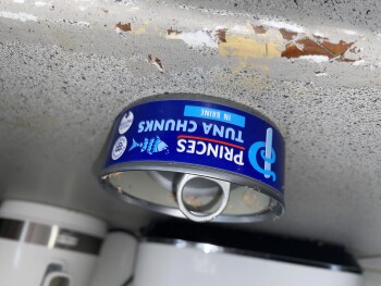 Avis du consommateur - Sécurité alimentaire Princes Tuna Chunks in Brine, Colindale, Edgware, UK She made a tuna sandwich at 12 She made her sel... photo #4