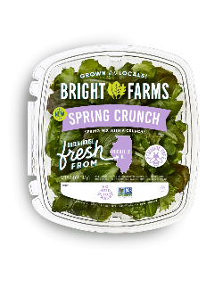 Food Recall BrightFarms Salad greens - recalled due to Salmonella Company name: BrightFarms 
Brand name: BrightF... photo #6