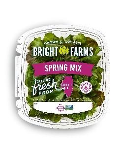 Food Recall BrightFarms Salad greens - recalled due to Salmonella Company name: BrightFarms 
Brand name: BrightF... photo #8