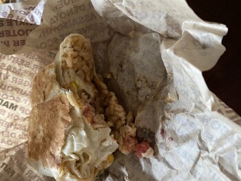 Consumer Review - Food Safety Quesada, 4th Avenue, St. Catharines, ON, Canada Got a burrito with my girlfriend ate about half rice... photo #2