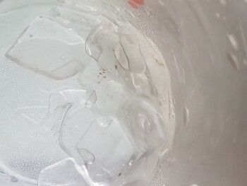 Consumer Food Safety Report Dunkin' Donuts, West Patrick Street, Frederick, MD, USA Found mold/bacteria? frozen in the ice of my... photo #2