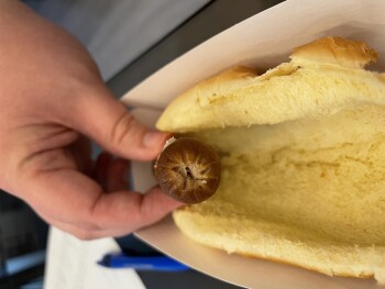 Consumer Review - Food Safety Sonic Drive-In, Southwest Lee Boulevard, Lawton, OK, USA This evening. Old Hotdog. My daughter felt... photo #2
