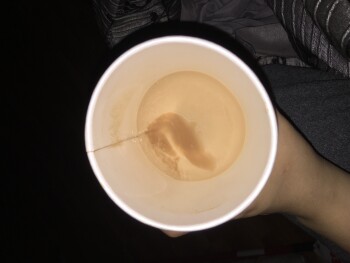 Consumer Review - Food Safety Tim Hortons, 2 Avenue West, Prince Albert, SK, Canada Tea Drank my tea 2 minutes later I started vom... photo #2
