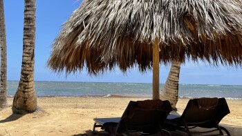 Consumer Review - Food Safety Excellence El Carmen, Carr. Uvero Alto, Punta Cana 23000, Dominican Republic Had about half of a bur... photo #3