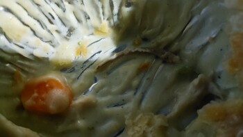 Consumer Food Safety Report KFC, East Euclid Avenue, Des Moines, IA, USA We keep finding sharp pieces of wish bones in our Chick... photo #3