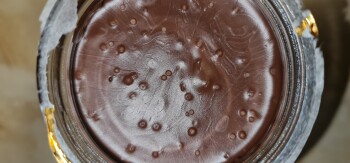 消费者食品安全报告 Asda Skelmersdale Superstore, Ingram, Skelmersdale, UK Mouldy Nutella. In date until next month. Bou... 照片 #5