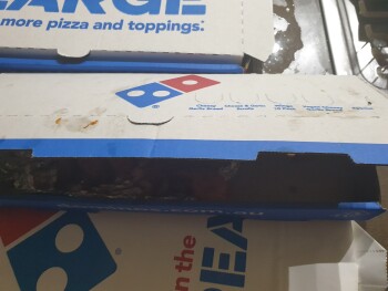 Consumer Review - Food Safety Domino's, Kellicar Road, Campbelltown NSW, Australia Definatly chicken wings from there My mum she i... photo #3