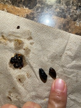 Consumer Food Safety Report Taco Bell, 35th Avenue, Oakland, CA 94619, USA I had bought a nacho bell grande tonight, and to my d... photo #2