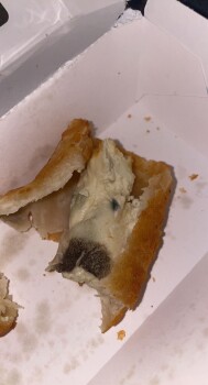 Consumer Review - Food Safety 7-Eleven,Vero Beach South, FL, USA Mold Moldy taquito.. Ate some before noticing. Symptoms began rig... photo #2
