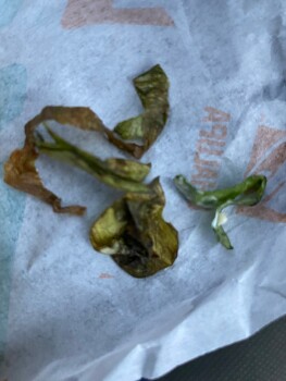 Consumer Review - Food Safety Taco Bell, West Street, Annapolis, MD, USA Workers who made my food were talking as they handed my m... photo #2