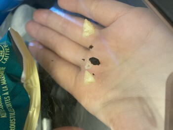 Consumer Review - Food Safety Miss Vickie’s Salt & Malt Vinegar Chips, Five Corner Convenience, 168 St, Surrey, BC, Canada I purch... photo #1